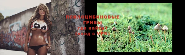 мяу мяу мука Алзамай