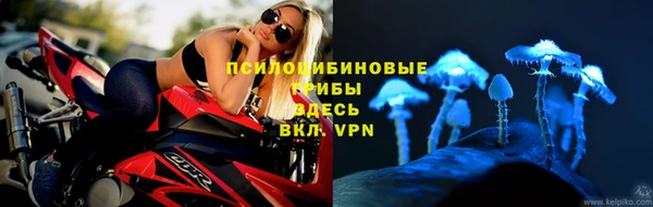 мяу мяу мука Алзамай