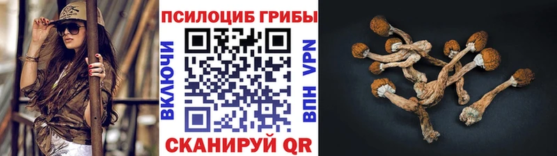 Псилоцибиновые грибы Magic Shrooms  Алупка 
